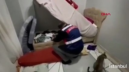 MİT ve Jandarmadan siber casus operasyonu: 2 kişi yakalandı