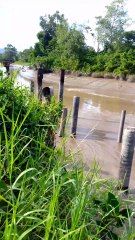 Así se devuelven los Ríos en Caripito estado Monagas Venezuela 🇻🇪