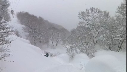 Ski jump goes wrong: Girl front flips into a tree on a slope