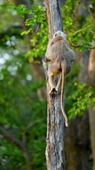 Just another day in the jungle—my favorite place, Rajaji National Park