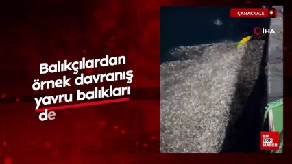 Çanakkale'de balıkçılardan örnek davranış