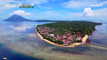 바다 위를 걸을 수 있는 낙원, 파시르 팀불에서 바다거북과 함께 수영 대결을!