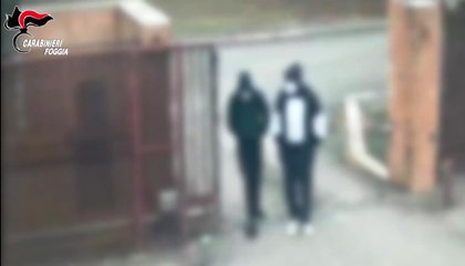 Foggia - Donna di 84 anni legata e costretta ad aprire la cassaforte: 5 in carcere (08.11.25)