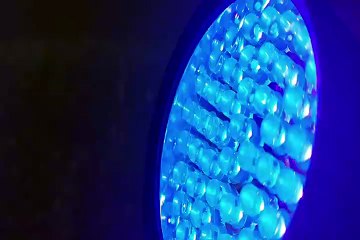 Lampe à lumiere noir 02