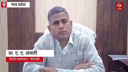 नौरादेही के शातिर भेड़िए, 3 महीने से वैज्ञानिकों को छका रहे, इन्हें पकड़ने का खोजा जा रहा तरीका