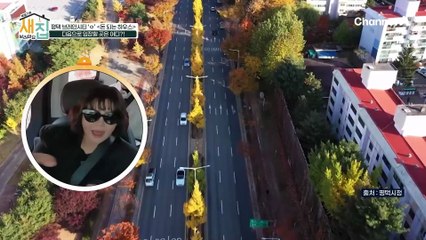 도시 성장에 맞춰 다양한 인프라가 들어올 예정?! 핫한 도시 평택에 가다!