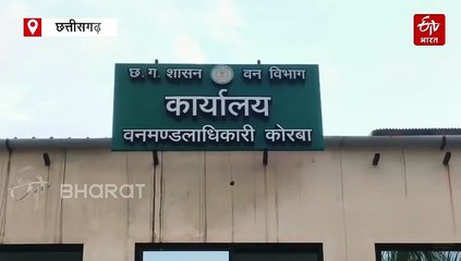गजराज ने ली किसान की जान, खेत में रखवाली कर रहे युवक को हाथी ने कुचला, वन विभाग ने दिया मुआवजा