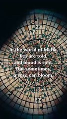 The Rise of Mr. and Mrs. Mafia Dramabox