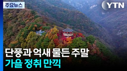 단풍과 억새 물든 주말...가을 정취 만끽 / YTN