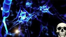 The Secret Science of How We Think — Mind Psychology Explained