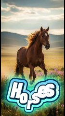 Horses – The Majestic Companions of Humanity 🐎🌾