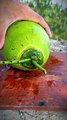 Satisfying ASMR — Amazing Coconut Cutting Technique