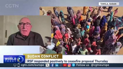 Sudan conflict: "The only way to prevent a breakup is to defeat the RSF militarily"