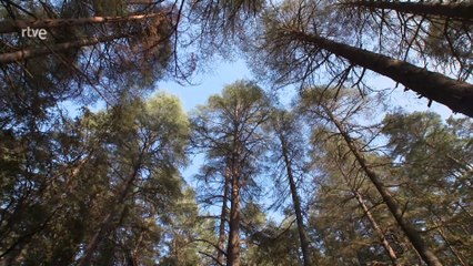 Marruecos, enigmas del desierto