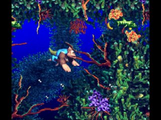 Donkey Kong Country 3 (SNES) (Part 3)
