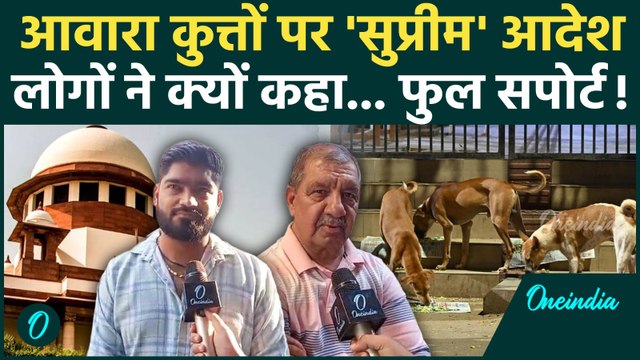 Supreme Court Stray Dogs Order: सुप्रीम कोर्ट का आदेश बिल्कुल सही... लोगों ने ऐसा क्यों कहा जानिए!