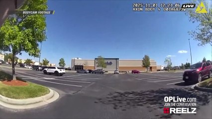 Shoplifter’s Getaway Fails After Good Samaritan Gives Officer a Lift