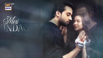 Meri Zindagi hai Tu episode 2 | Bilal Abbas | Hania amir