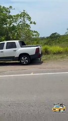 Motorista com suspeita de embriaguez provoca engavetamento envolvendo seis carros na BA-099