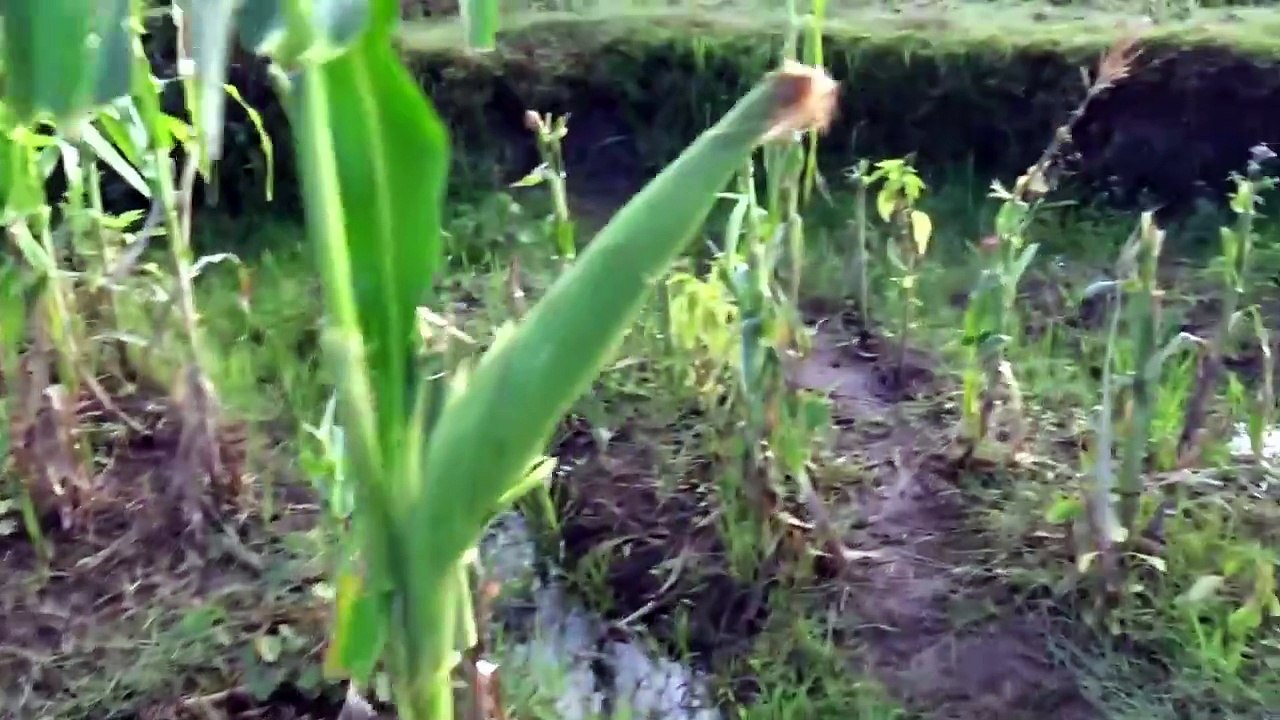 L'Aventure Qui Déraille : 12h de Galères en Moto Dans la Brousse
