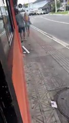 Ventos de ciclone derrubam árvores, destelham casas e geram transtornos em SC