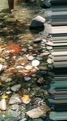 Waterfall | Explore the beauty of Nature | Nature with Amit