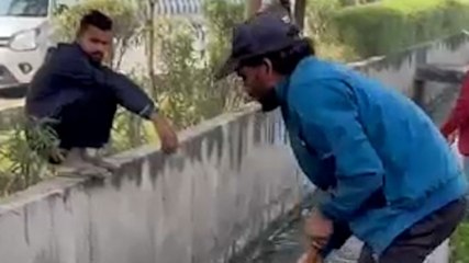 नोएडा में सिर कटी महिला की लाश मिलने से मचा हड़कंप