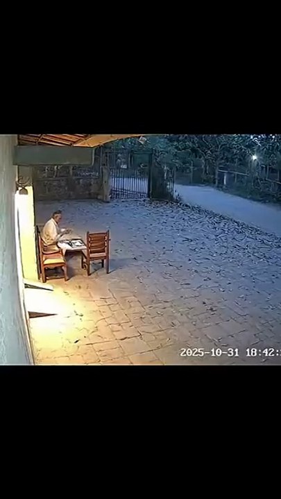 Tiger's Hunt