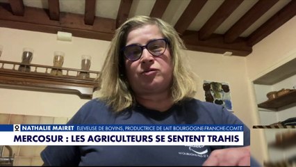 Mercosur : «Emmanuel Macron laisse tomber l’agriculture française», dénonce Nathalie Mairet
