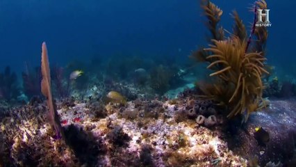 La storia proibita - Misteri nel triangolo delle Bermuda