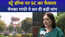 सुप्रीम कोर्ट का आवारा कुत्तों पर बड़ा फैसला, मेनका गांधी ने की ये मांग 