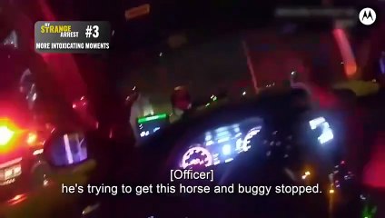 My Strange Arrest S03E101 (special) Top 5: More Intoxicating Moments