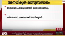 അനധികൃത മത്സ്യബന്ധനം; അസീറിൽ ഒരു ടൺ മത്സ്യം പിടിച്ചെടുത്തു