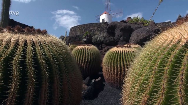 Islas Canarias, Fuerteventura y Lanzarote