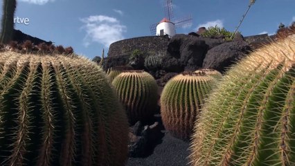 Islas Canarias, Fuerteventura y Lanzarote