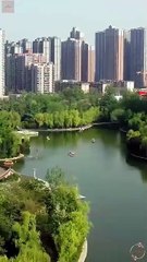 Sweet Stepmom, Her Own Cupids