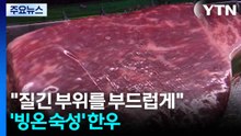 [新농비] "질긴 부위를 부드럽게"...'빙온 숙성' 한우 / YTN