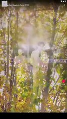 Together, Hearts in Sync