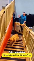 Fated to Miss Her EngSub #litetv