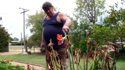 Remote Queensland customers in limbo after business vanishes