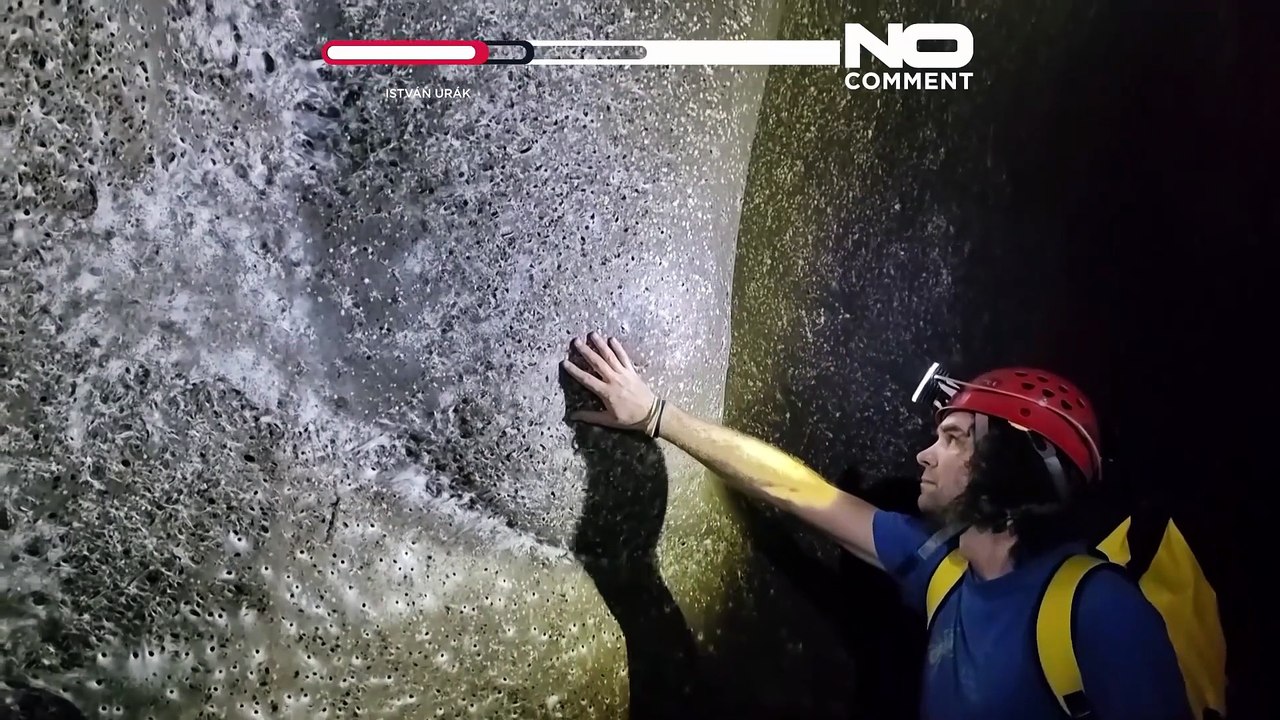 Паучий мегагород: ученые обнаружили гигантскую колонию пауков