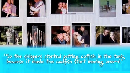 The Catfish Problem Is Getting Even More Terrifying | Analyzing Netflix's Unknown Number & More