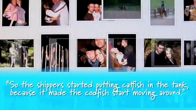 The Catfish Problem Is Getting Even More Terrifying | Analyzing Netflix's Unknown Number & More