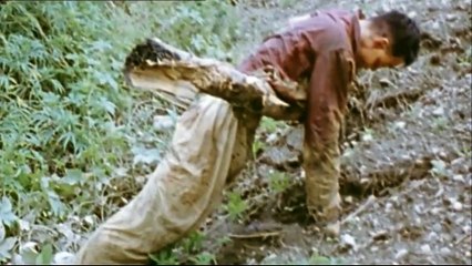 Greatest Tank Battles_11of26_Tank Battles of Korea