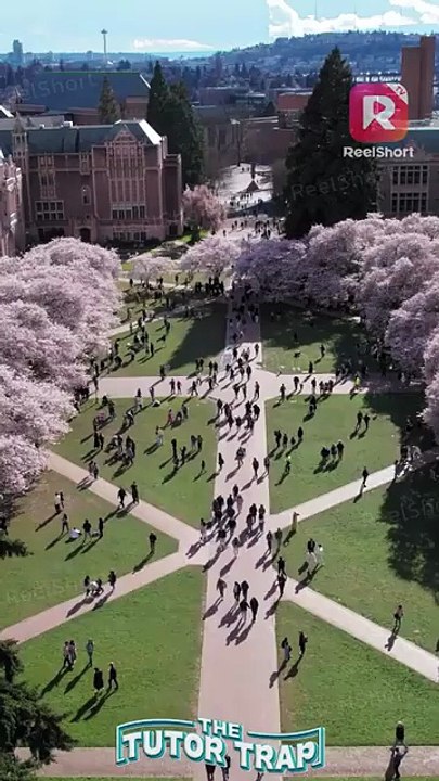 School hockey star asks brainy wallflower to be his chemistry tutor? | The Tutor Trap | ReelShort