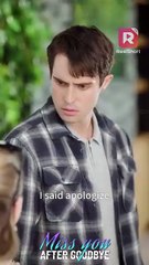 No longer your dull stay-at-home husband—I'm reaching for the stars! | Miss You After Goodbye