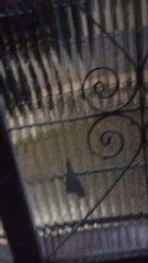 Chuvas em Minas Gerais.