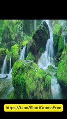 My Driver Is Actually The CEO EngSub #litetv