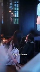 Laws of Love and Lies