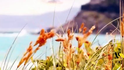 Home and Away 8559 26th August 2025